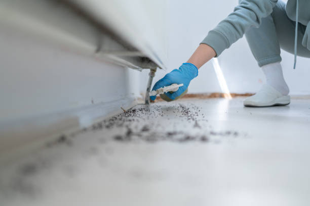 Best Pest Prevention Services  in Ara, AL